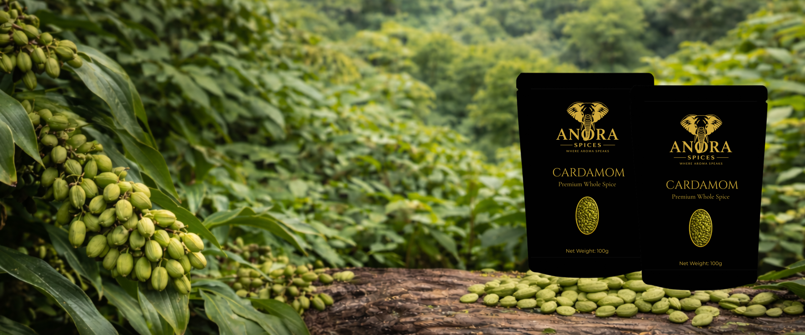 banner_cardamom